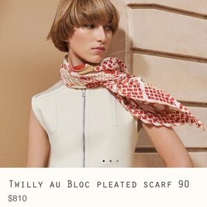 HERMES Twilly Scarf